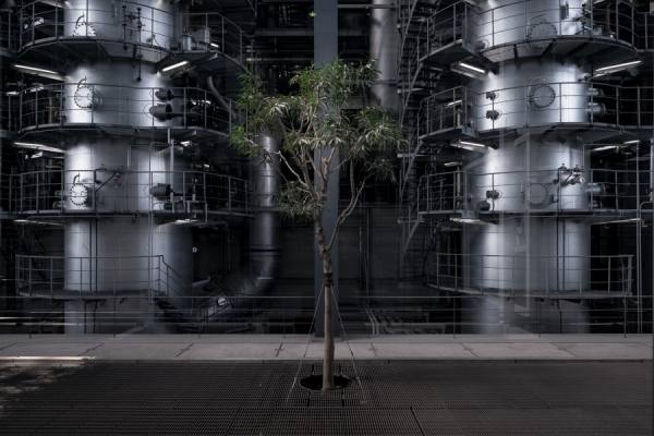 Photograph Yasuhiro Sakuda Green And Metal on One Eyeland